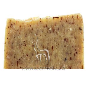 ����������� ���� ���� ����������� ����������� ���� ��� � ��������������