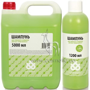 ������� ��������� �������� UA Profi Deep Cleansing Shampoo