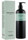������� ��� ����� ��������‎ Valmona Ayurvedic Scalp Solution Black Cumin Shampoo small