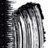 ���� ��� ������ Vipera Four Seasons Mascara ������