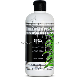 ������� ��� ���������� ����� ����� ���� ��� ������� ���� ����