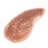 ����� ��� ��� � ��������� Yves Saint Laurent Golden Gloss Shimmering Lip Gloss #12 Golden Cinnamon