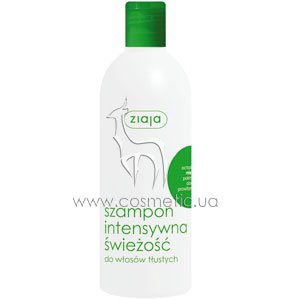 ������� � ���������� ���� ���������� ��� ������ ����� Ziaja Mint Shampoo